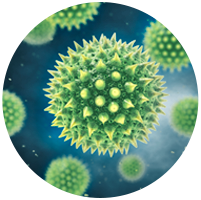 Roborock H6 help you get rid of 2-100 μm pollen Roborock H6 help you get rid of 2-100 μm pollen