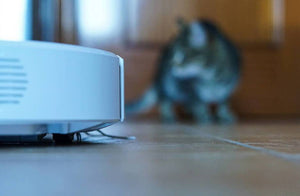 El Confidencial | La Roomba china que logró ser tan silenciosa como para no desquiciar a mi gato