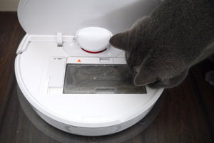 Tech Crunch |  Cat vs best and worst robot vacuum cleaners