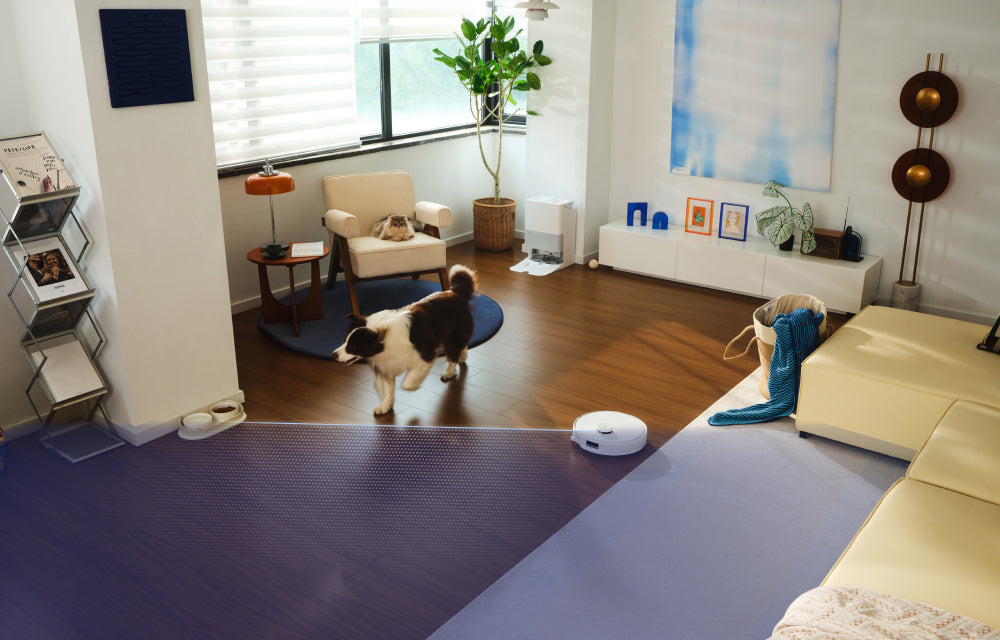 Qrevo Edge 5V1 - ניווט