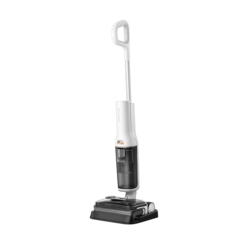 Roborock F25 Pure
