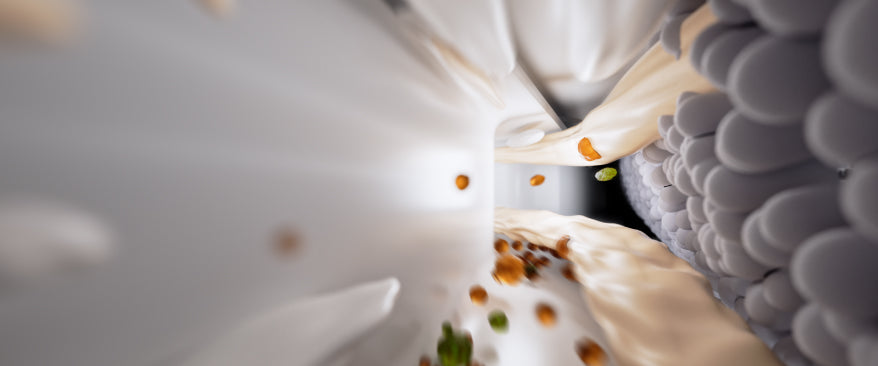 שואב אבק מוט + שטיפה + קיטור F25 Ultra מבית Roborock