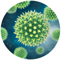 Roborock H6 help you get rid of 2-100 μm pollen